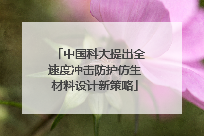 中国科大提出全速度冲击防护仿生材料设计新策略